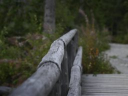 most_nad_suchym_potokiem_2025